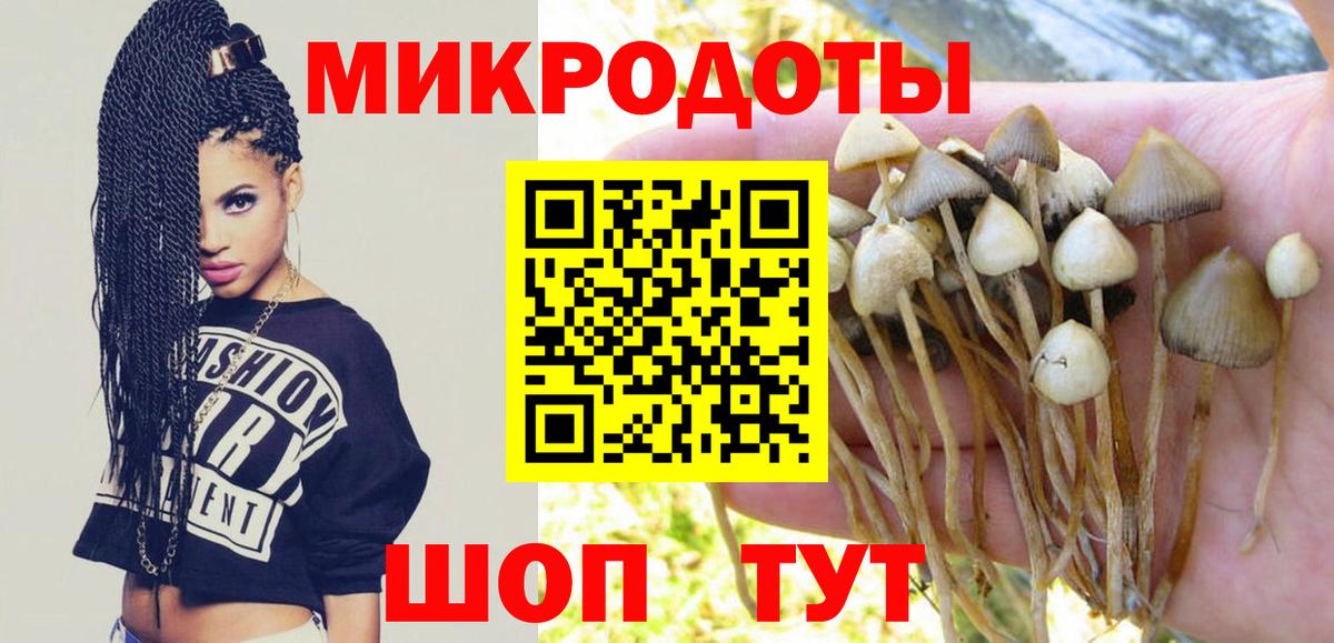 Псилоцибиновые грибы MAGIC MUSHROOMS  Вход с VPN  Мурманск  Псилоцибиновые грибы Cubensis 